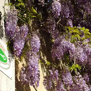 https://locanda-santanna-hotel.hotelinveneto.com
